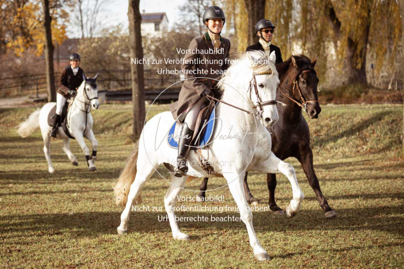 Schleppjagd_Schleissheim-361