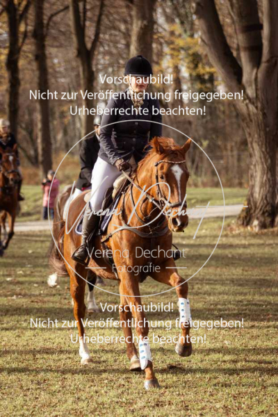 Schleppjagd_Schleissheim-373