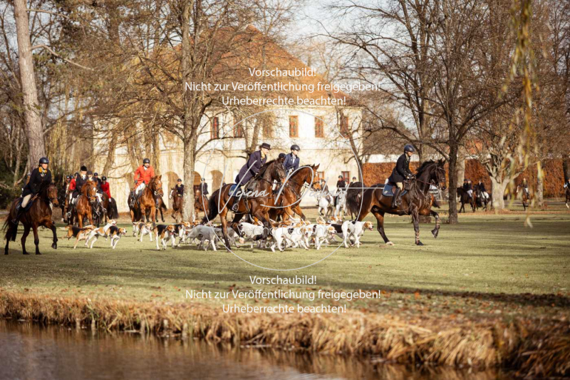 Schleppjagd_Schleissheim-390