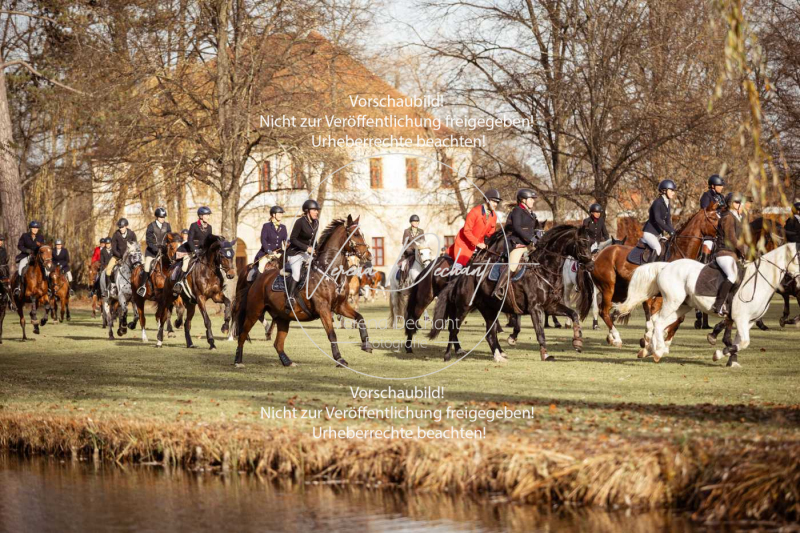 Schleppjagd_Schleissheim-404