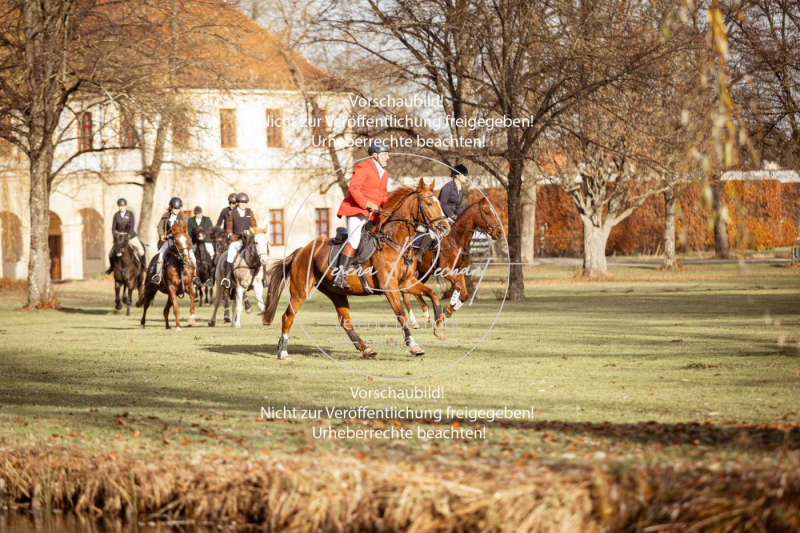 Schleppjagd_Schleissheim-422