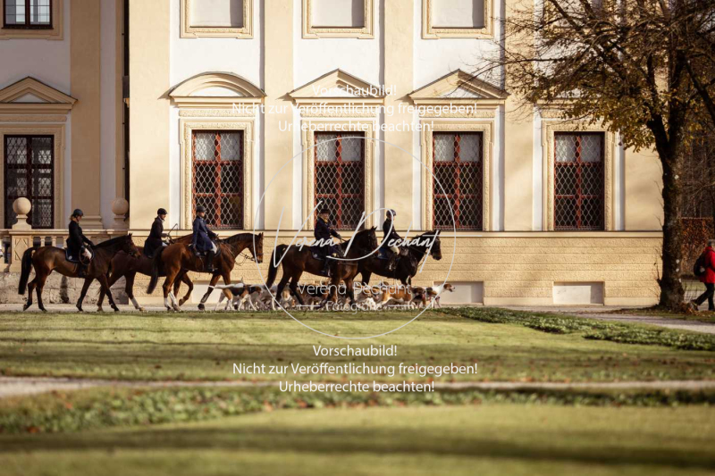 Schleppjagd_Schleissheim-445