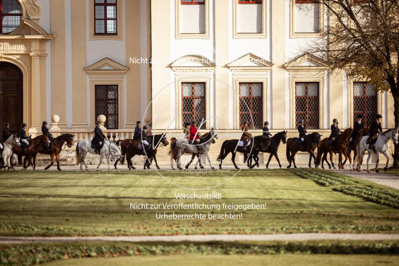 Schleppjagd_Schleissheim-451