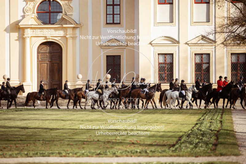 Schleppjagd_Schleissheim-452