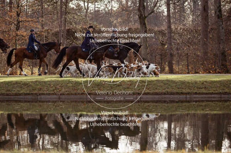 Schleppjagd_Schleissheim-463