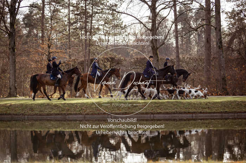 Schleppjagd_Schleissheim-465