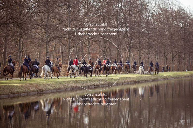 Schleppjagd_Schleissheim-500