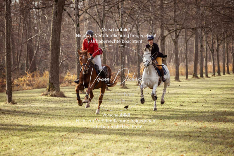 Schleppjagd_Schleissheim-532