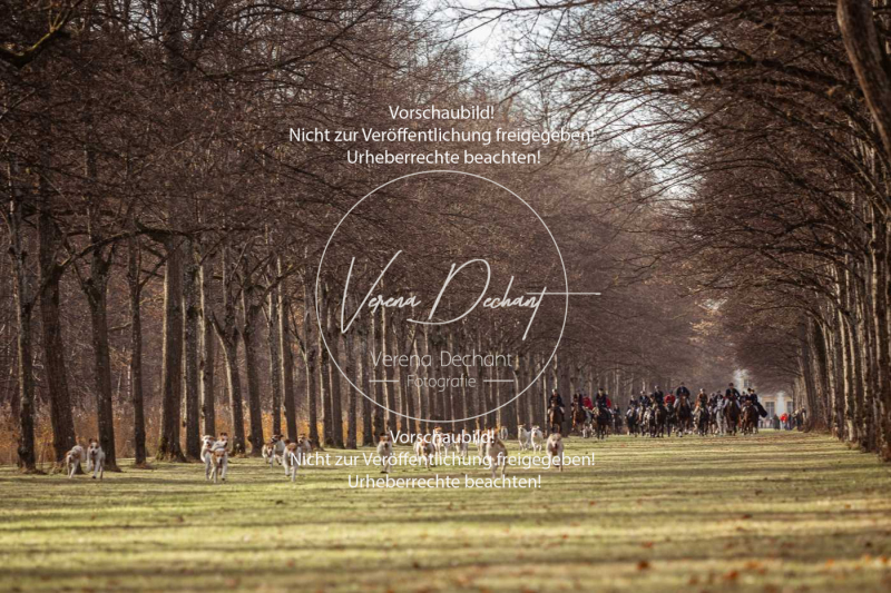 Schleppjagd_Schleissheim-534