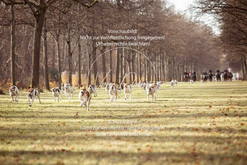 Schleppjagd_Schleissheim-543