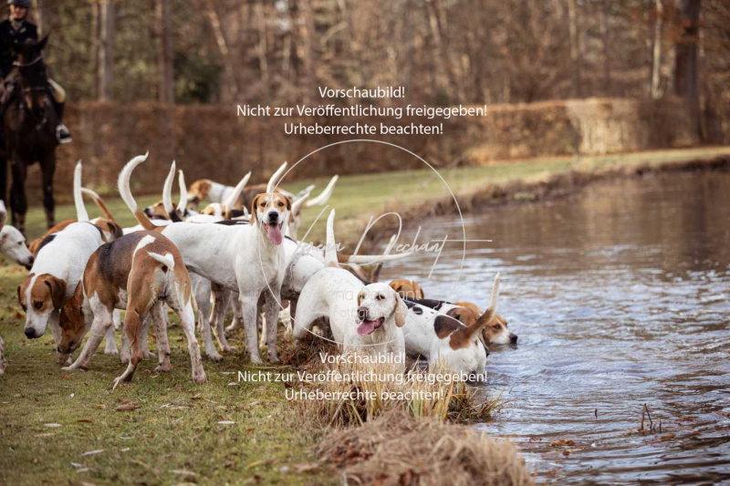 Schleppjagd_Schleissheim-550