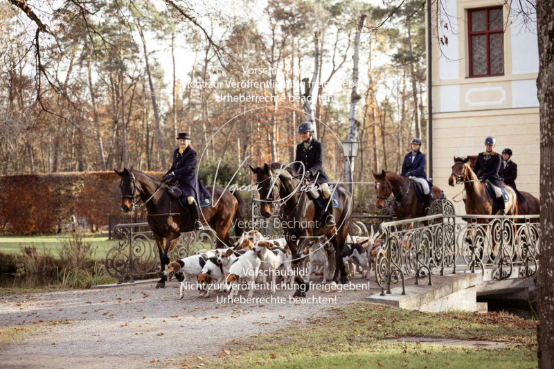 Schleppjagd_Schleissheim-567