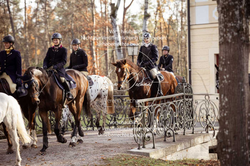 Schleppjagd_Schleissheim-591