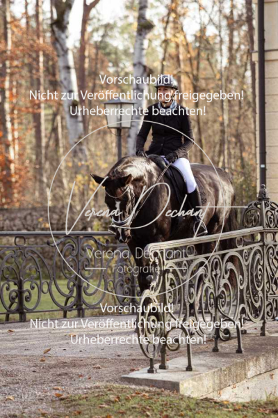 Schleppjagd_Schleissheim-593