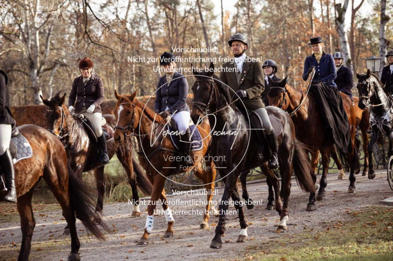 Schleppjagd_Schleissheim-602