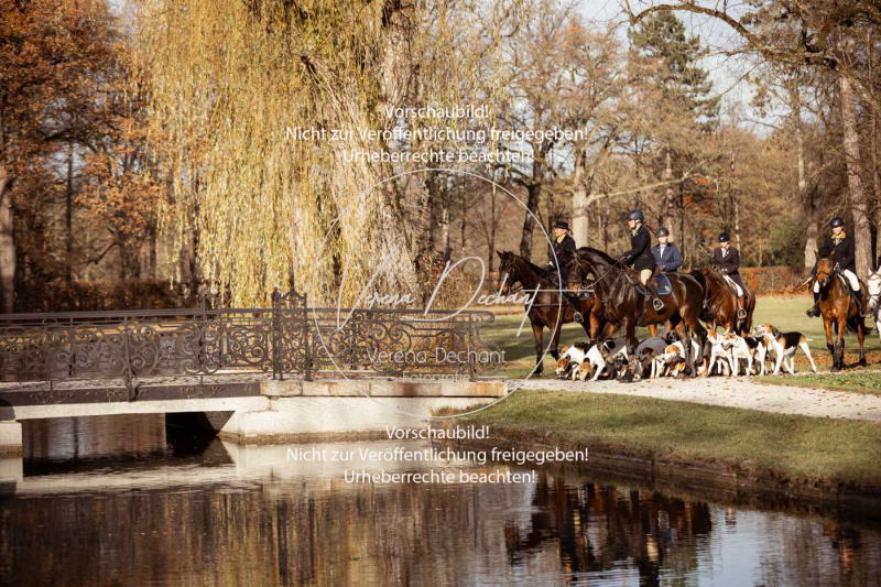 Schleppjagd_Schleissheim-620