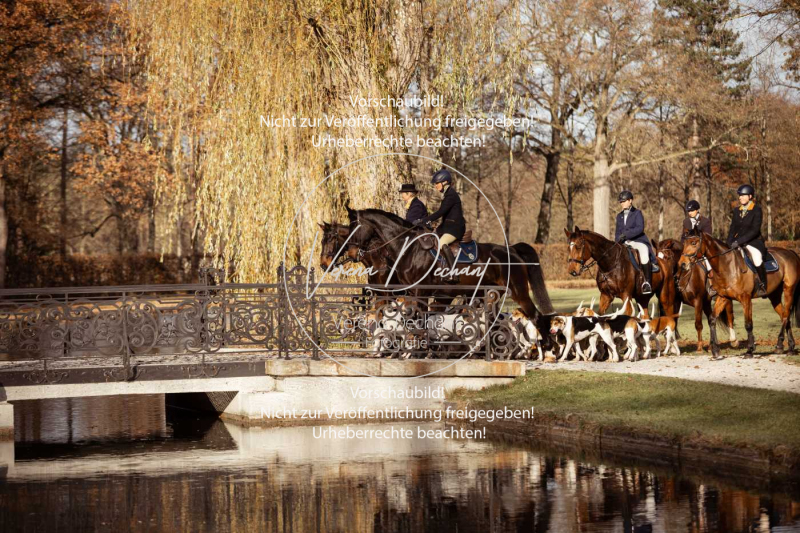 Schleppjagd_Schleissheim-622