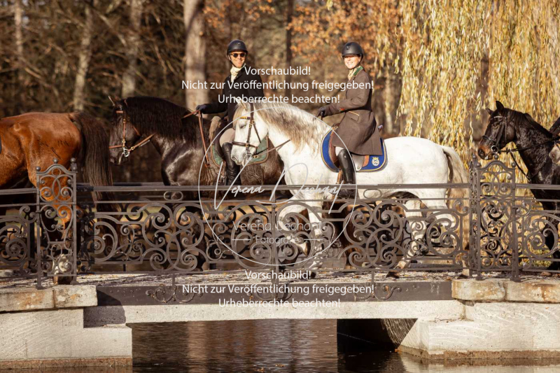 Schleppjagd_Schleissheim-640