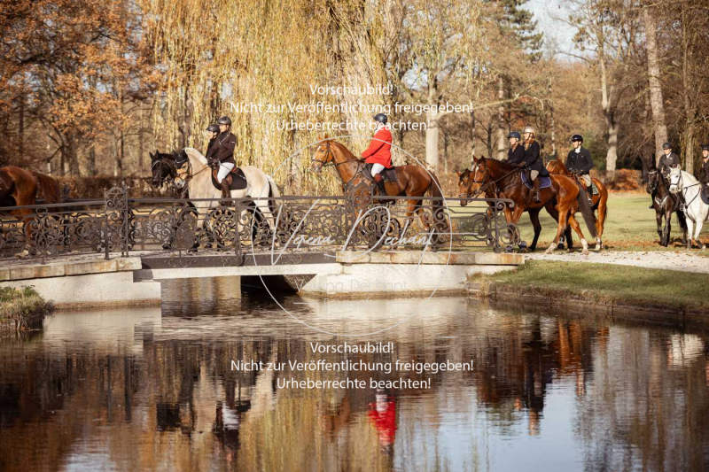 Schleppjagd_Schleissheim-670