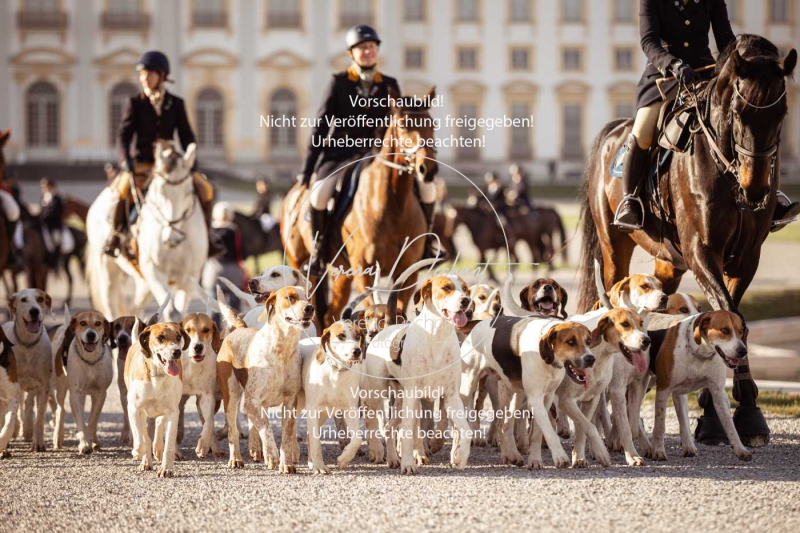 Schleppjagd_Schleissheim-694