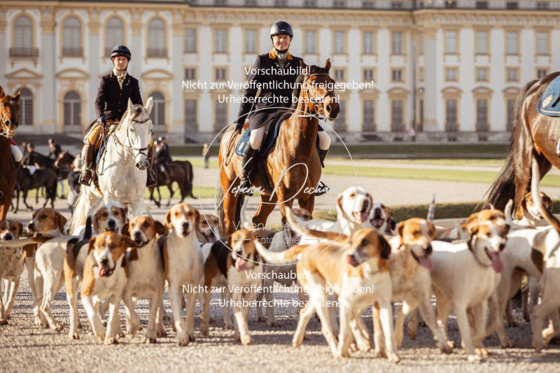 Schleppjagd_Schleissheim-696