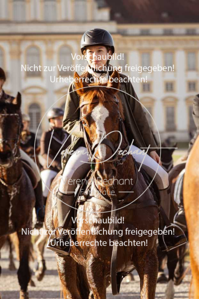 Schleppjagd_Schleissheim-716