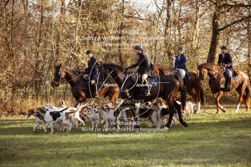 Schleppjagd_Schleissheim-728