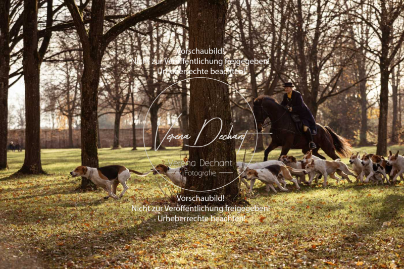 Schleppjagd_Schleissheim-729