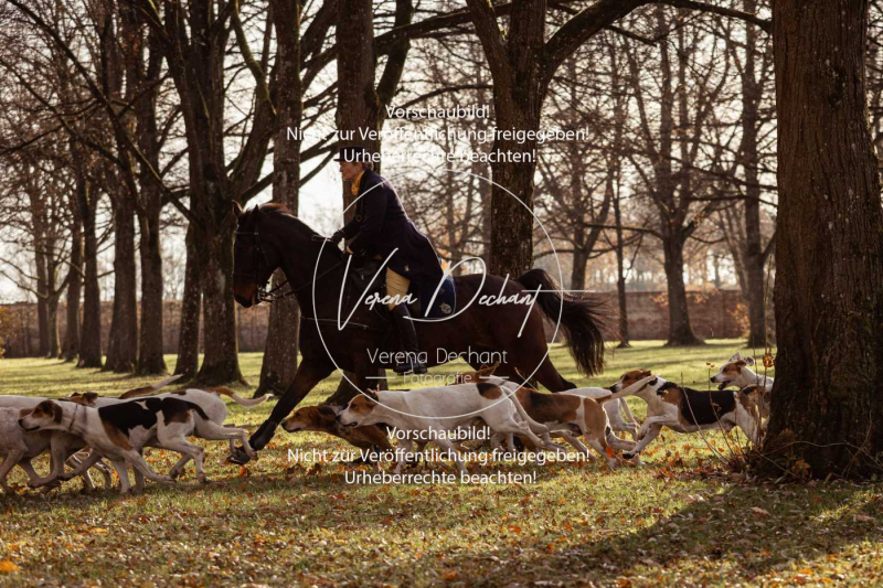 Schleppjagd_Schleissheim-735