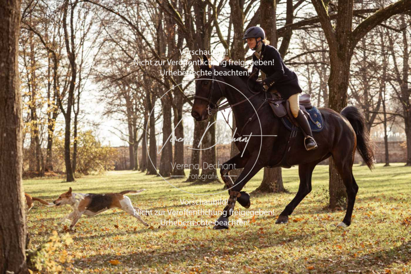 Schleppjagd_Schleissheim-740