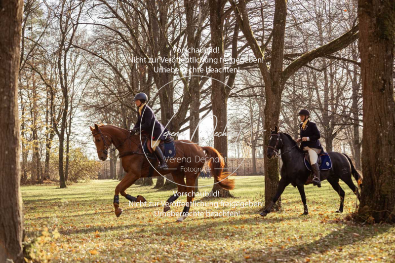 Schleppjagd_Schleissheim-750