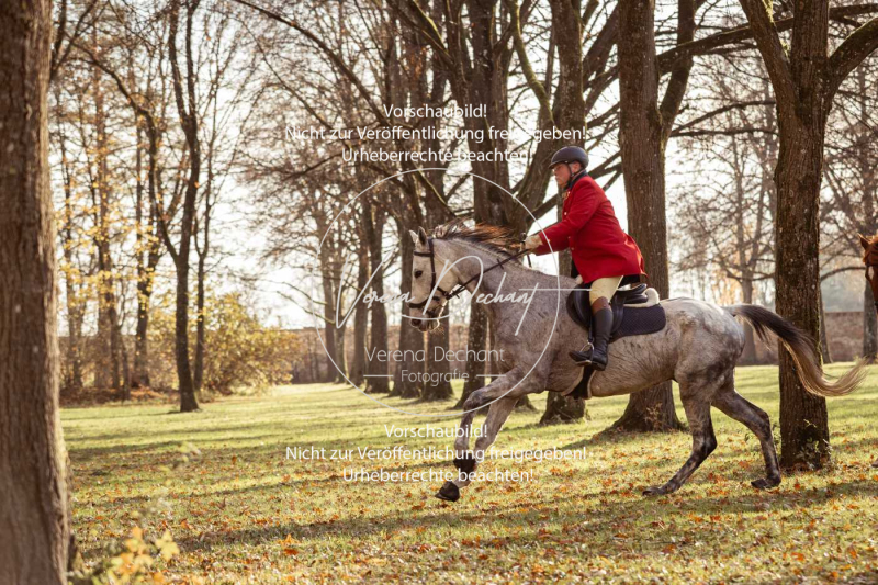 Schleppjagd_Schleissheim-753