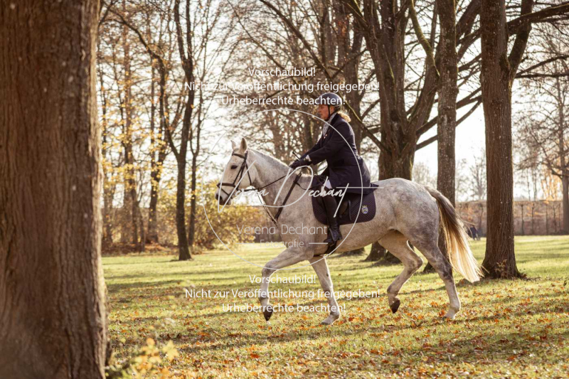 Schleppjagd_Schleissheim-768