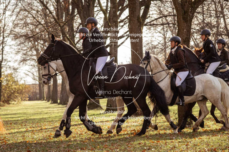 Schleppjagd_Schleissheim-779