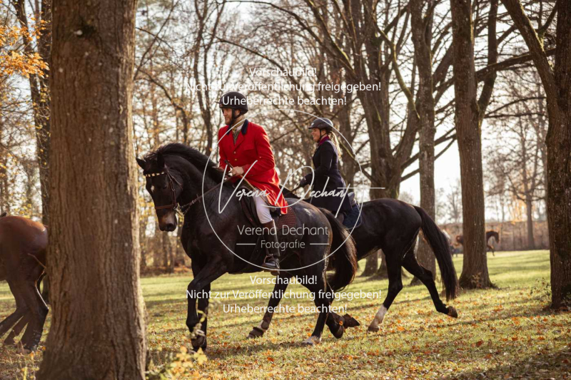 Schleppjagd_Schleissheim-784