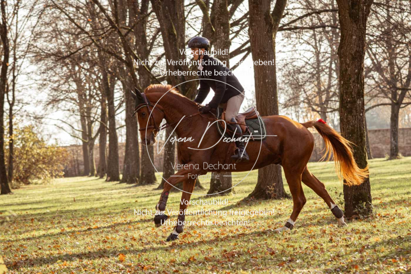 Schleppjagd_Schleissheim-811