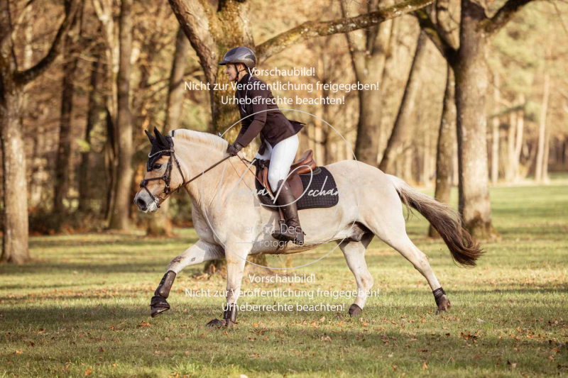 Schleppjagd_Schleissheim-831