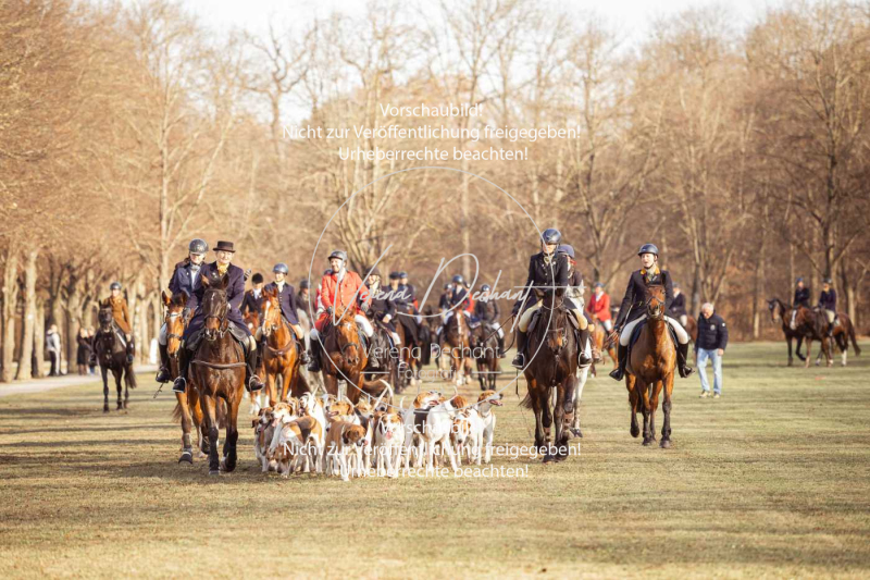 Schleppjagd_Schleissheim-835