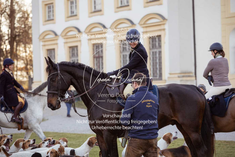 Schleppjagd_Schleissheim-844