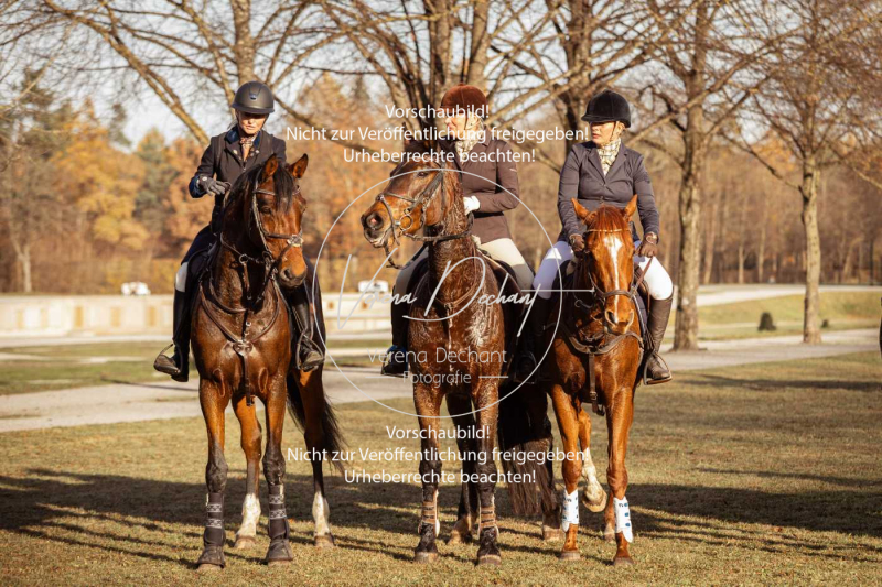 Schleppjagd_Schleissheim-847