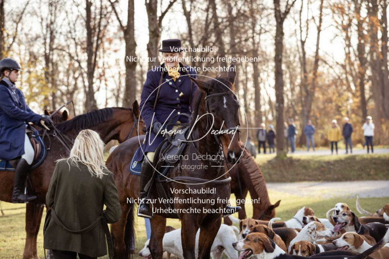 Schleppjagd_Schleissheim-854