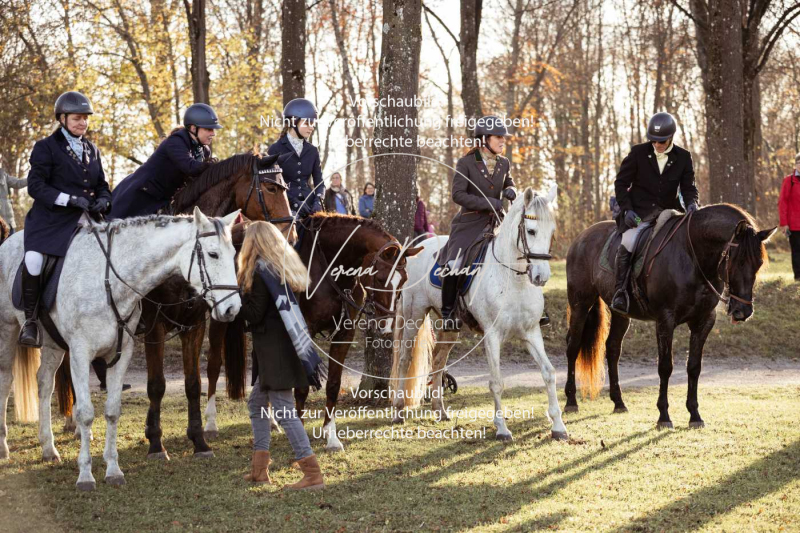 Schleppjagd_Schleissheim-864