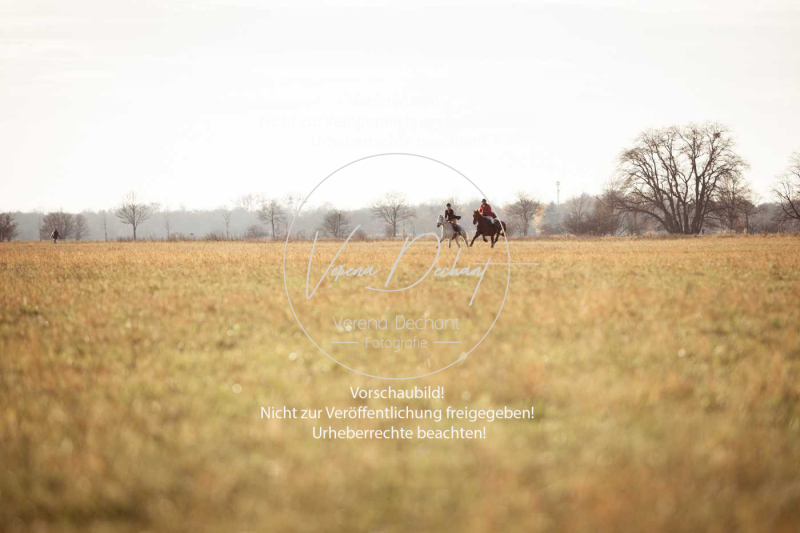 Schleppjagd_Schleissheim-888