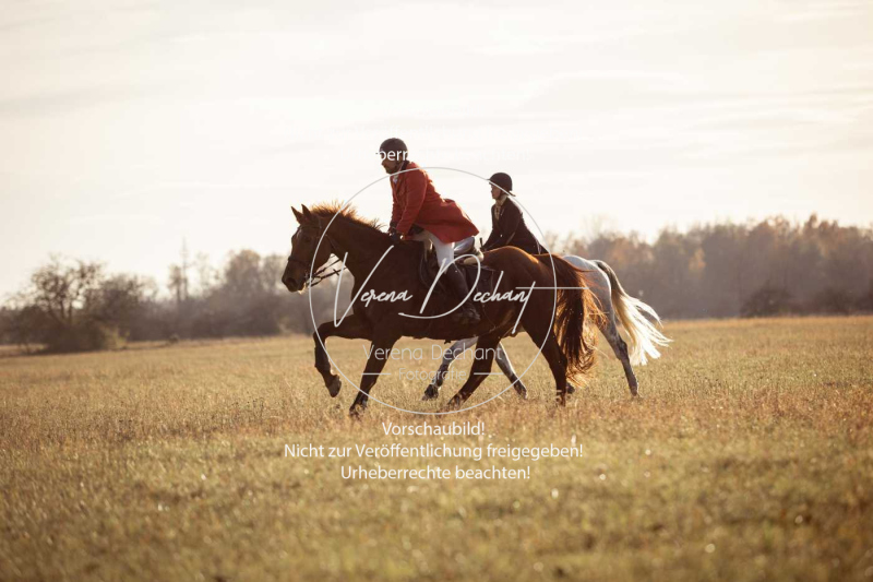 Schleppjagd_Schleissheim-900