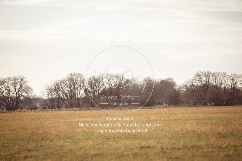 Schleppjagd_Schleissheim-901