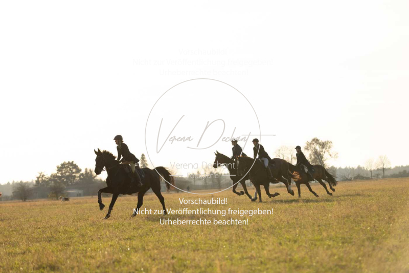 Schleppjagd_Schleissheim-914