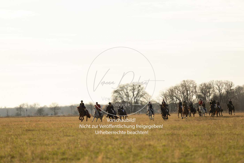 Schleppjagd_Schleissheim-916