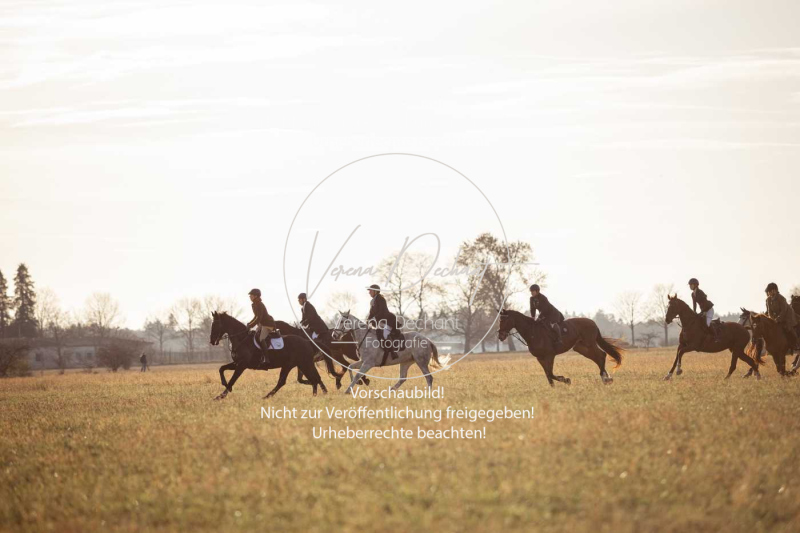 Schleppjagd_Schleissheim-928