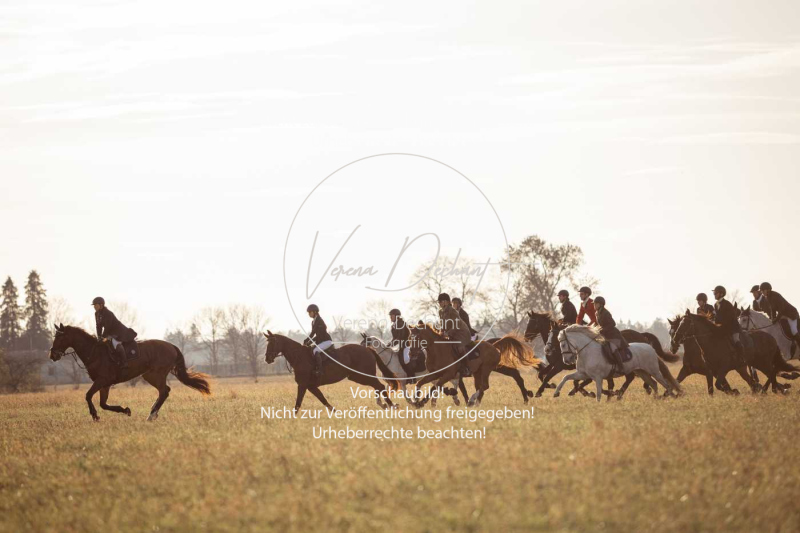 Schleppjagd_Schleissheim-931