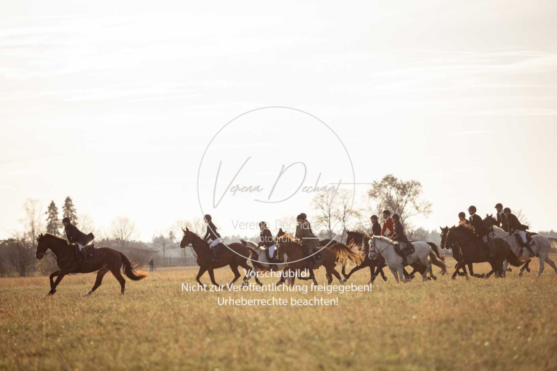 Schleppjagd_Schleissheim-932